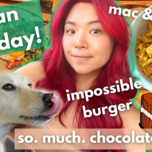 BEST Vegan Boxed Mac & Cheese, Chocolates &more | VEGAN CHEAT DAY & TASTE TEST (What I Ate in a Day)