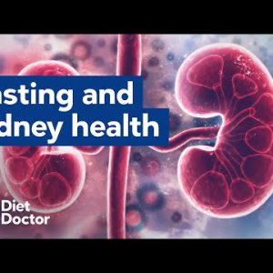 Fasting may help kidney function