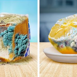 Dangerous mold: how to store food the right way