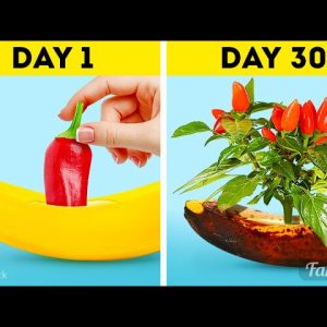 Garden hacks: Best plants that can be grown at home | DIY tutorial