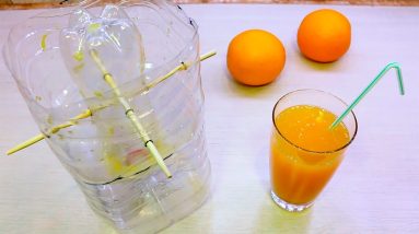 How to Make a Homemade Juicer, DIY Food Life Hack