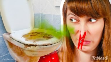 My toilet stinks! 5 homemade remedies for a stinky bathroom