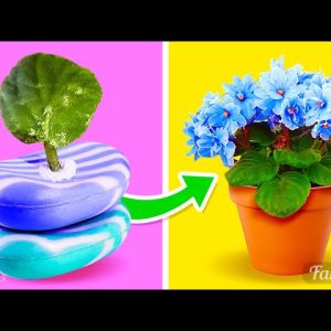 Plant care: 8 first aid hacks for indoor plants