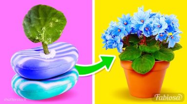 Plant care: 8 first aid hacks for indoor plants
