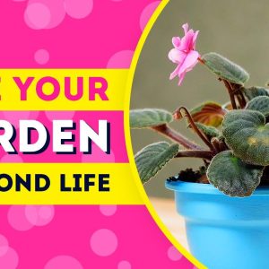 TOP 10 GARDEN FIX AND OTHER HACKS TO GIVE THINGS SECOND LIFE / Fabiosa
