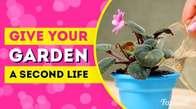 TOP 10 GARDEN FIX AND OTHER HACKS TO GIVE THINGS SECOND LIFE / Fabiosa