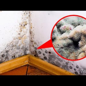 How to remove mold from the bathroom? With these 6 easy mold-busting tips!
