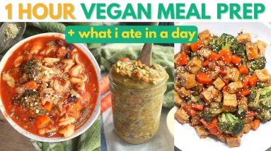 1 HOUR VEGAN MEAL PREP FOR WEIGHT LOSS when JET LAGGED (VLOG) + What I Ate in a Day as a VEGAN