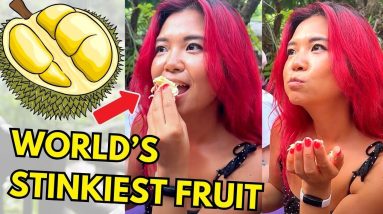 Trying DURIAN (World's Stinkiest Fruit) For the FIRST TIME 😳 (Thailand 🇹🇭 Vegan Food Tour Vlog)